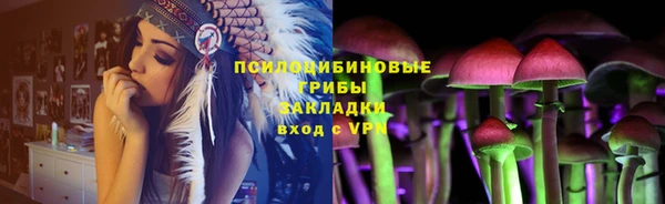 круглые Аркадак