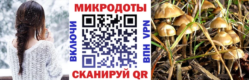 Псилоцибиновые грибы GOLDEN TEACHER Купить Нурлат